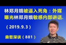江森哲:林郑月娥被逼入死角:外媒曝光香港特首林郑月娥极为敏感的内部讲话
