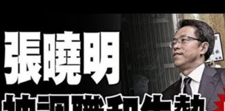 吴建民:袭击何韵诗为九人团伙,林郑携何君尧光头警长高调入京,中联办主任张晓明黯然消失。