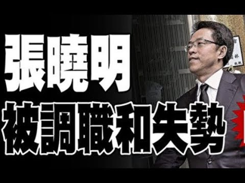 吴建民:袭击何韵诗为九人团伙,林郑携何君尧光头警长高调入京,中联办主任张晓明黯然消失。