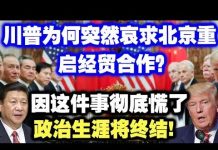 中共造谣系列15:川普为何突然哀求北京重启经贸合作?因这件事彻底慌了,政治生涯将终结!