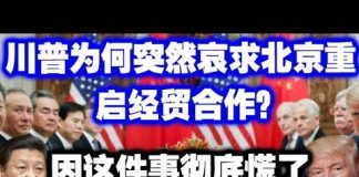中共造谣系列15:川普为何突然哀求北京重启经贸合作?因这件事彻底慌了,政治生涯将终结!