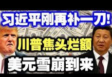 中共造谣系列18:习近平再补一刀!川普焦头烂额,美元雪崩到来