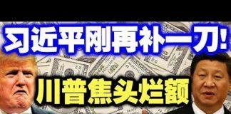 中共造谣系列18:习近平再补一刀!川普焦头烂额,美元雪崩到来