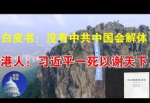 郭宝胜:党国白皮书:没有中共中国会解体;港人:习近平一死以谢天下