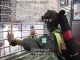 港警“执法犯法” 举例3:警察乱棍伤人,无数港民受伤,儿童未能幸免,警察却拒绝医护人员救护