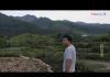 中国真相65:非洲猪瘟有多厉害,山上的野猪都死完了