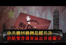 夏业良:中共撤回修例是缓兵计 拒绝双普选会逼迫香港独立