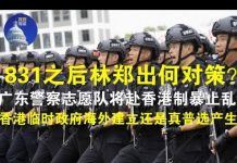 郭宝胜:831之后林郑出何对策?广东警察志愿队将赴香港制暴止乱?香港临时政府海外建立还是真普选产生?