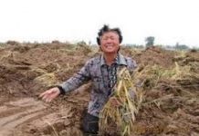 中国观察:中国经济命悬一线,中共逼农民掏钱消费。美专家揭中共邪恶程度远超苏共