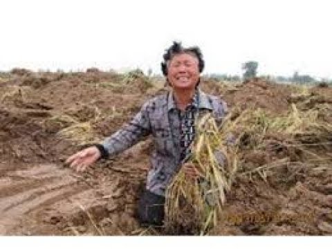 中国观察:中国经济命悬一线,中共逼农民掏钱消费。美专家揭中共邪恶程度远超苏共