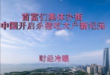 财经冷眼:首富们集体扑街大揭秘 ,中国开启杀猪吃大户新纪元!