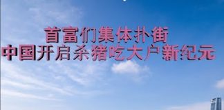 财经冷眼:首富们集体扑街大揭秘 ,中国开启杀猪吃大户新纪元!