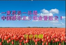 财经冷眼:疯狂泡沫!一束花换一栋楼 ,中国楼市正在步郁金香后尘!