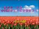 财经冷眼:疯狂泡沫!一束花换一栋楼 ,中国楼市正在步郁金香后尘!