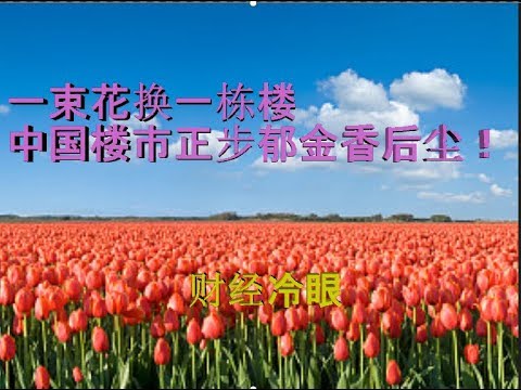财经冷眼:疯狂泡沫!一束花换一栋楼 ,中国楼市正在步郁金香后尘!