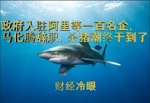 财经冷眼:政府入驻阿里等一百民企,马化腾辞职,杀猪潮终于到了!