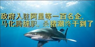 财经冷眼:政府入驻阿里等一百民企,马化腾辞职,杀猪潮终于到了!