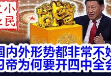 小民之心:国内外形势都非常不妙 习帝为何要开四中全会