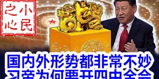 小民之心:国内外形势都非常不妙 习帝为何要开四中全会