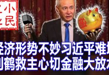 小民之心:经济形势不妙习近平难堪 刘鹤救主心切金融大放水