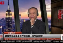 陈小平:中共高层与外交部不同心,英美是香港救命稻草?