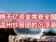 中国网事:曾携千亿资金席卷全国,温州炒房团三十年沉浮录