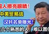 疯了!孙立平、高晓凇、老粱、方舟子、杨元庆等被中共列入“汉奸”黑名单