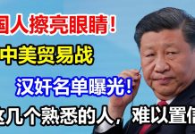 疯了!孙立平、高晓凇、老粱、方舟子、杨元庆等被中共列入“汉奸”黑名单