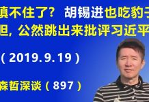 江森哲:习近平镇不住了? 胡锡进也吃豹子胆,公然跳出来批评习近平