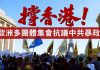 東方之光:撑香港!欧洲多团体集会抗议中共暴政