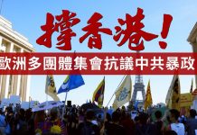 東方之光:撑香港!欧洲多团体集会抗议中共暴政