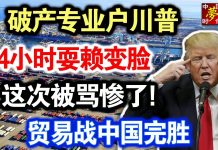 中共造谣系列17:破产专业户川普,24小时耍赖变脸,这次被骂惨了!贸易战中国完胜