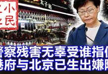 小民之心:林郑内部讲话泄露:警察残害无辜受谁指使 港府与北京已生出嫌隙