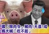 中国真相60:实拍江西猪肉价格又涨了,卖肉老板告诉你真实原因
