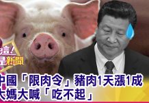 中国真相60:实拍江西猪肉价格又涨了,卖肉老板告诉你真实原因
