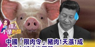 中国真相60:实拍江西猪肉价格又涨了,卖肉老板告诉你真实原因