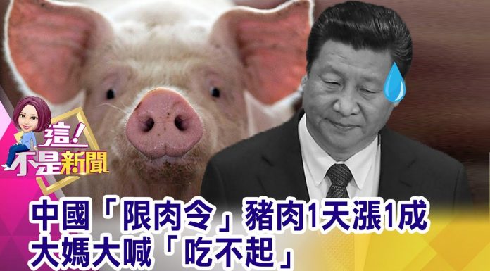 中国真相60:实拍江西猪肉价格又涨了,卖肉老板告诉你真实原因