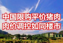 中国网事:中国开始出现限购平价猪肉,调控肉价的办法如同楼市