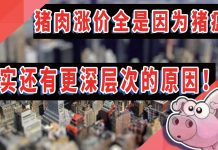太阳财富:猪肉涨价真的全是因为猪瘟?其实还有更深层次的原因!