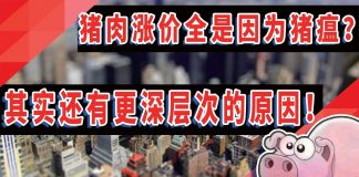 太阳财富:猪肉涨价真的全是因为猪瘟?其实还有更深层次的原因!