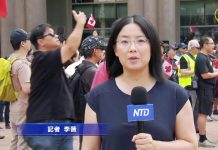 香港人反送中美加日议员及民众支持