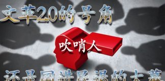 方砖:吹哨人制度,是吹响了文革2.0的号角,还是拉开国进民退的大幕
