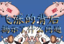 中国真相61:猪肉飞涨不可怕,可怕的是背后揭示的这些东西