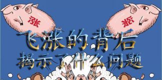 中国真相61:猪肉飞涨不可怕,可怕的是背后揭示的这些东西