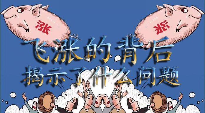 中国真相61:猪肉飞涨不可怕,可怕的是背后揭示的这些东西