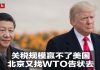 何频 陈小平:习近平对美已无底牌,只能去WTO上访告状