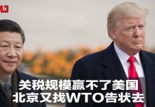 何频 陈小平:习近平对美已无底牌,只能去WTO上访告状