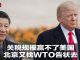 何频 陈小平:习近平对美已无底牌,只能去WTO上访告状
