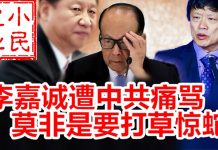 小民之心:李嘉诚遭中共痛骂 莫非是要打草惊蛇