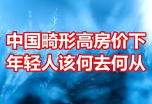中国网事:中国畸形高房价下的年轻人该何去何从?